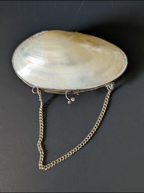 Minaudière with Silver Chain Vintage Novelty Item